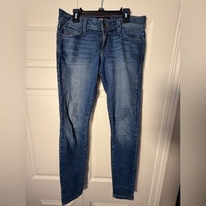 Fran Denim Dana Low Rise Skinny Jeans